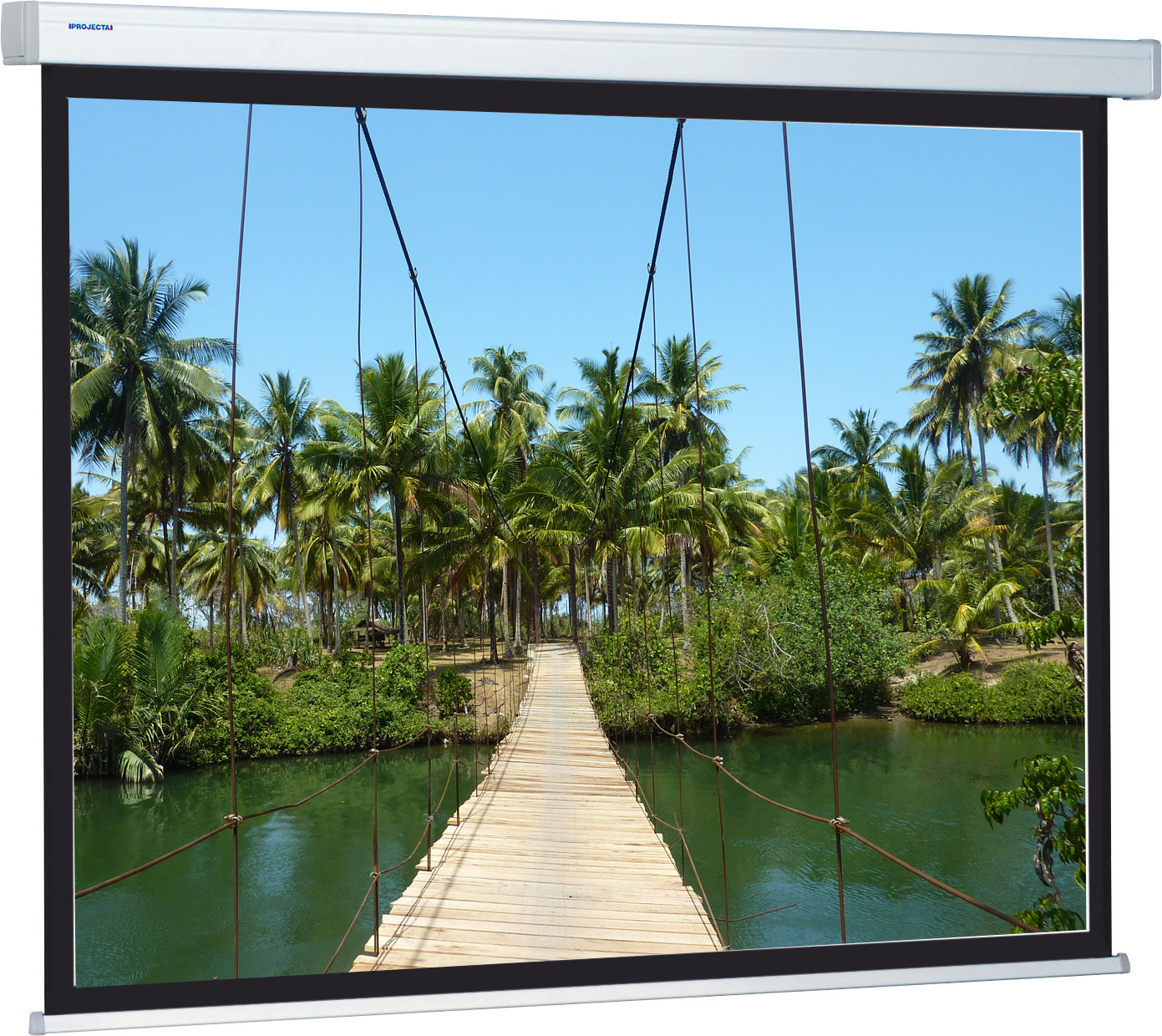 Da-Lite Compact Electrol