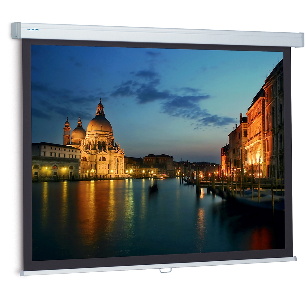 Da-Lite ProScreen