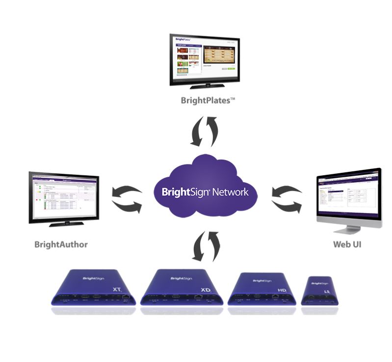 BrightSign Network Lizenz