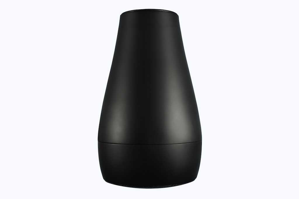 Biamp Desono P6, schwarz Biamp Desono P6, schwarz