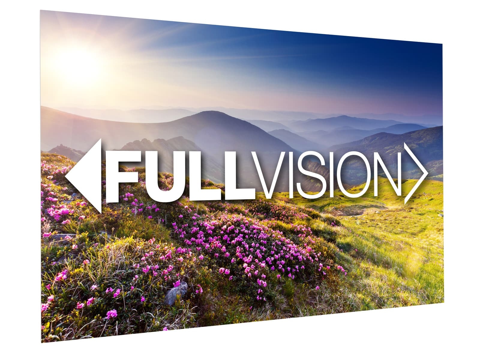 Da-Lite FullVision