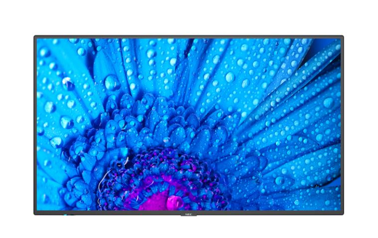 NEC MultiSync M551 --> #59212