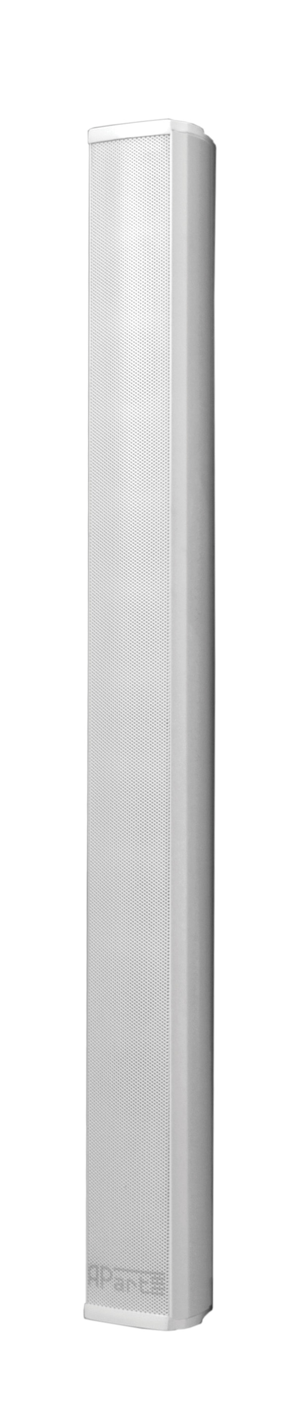 Biamp Desono COLS101