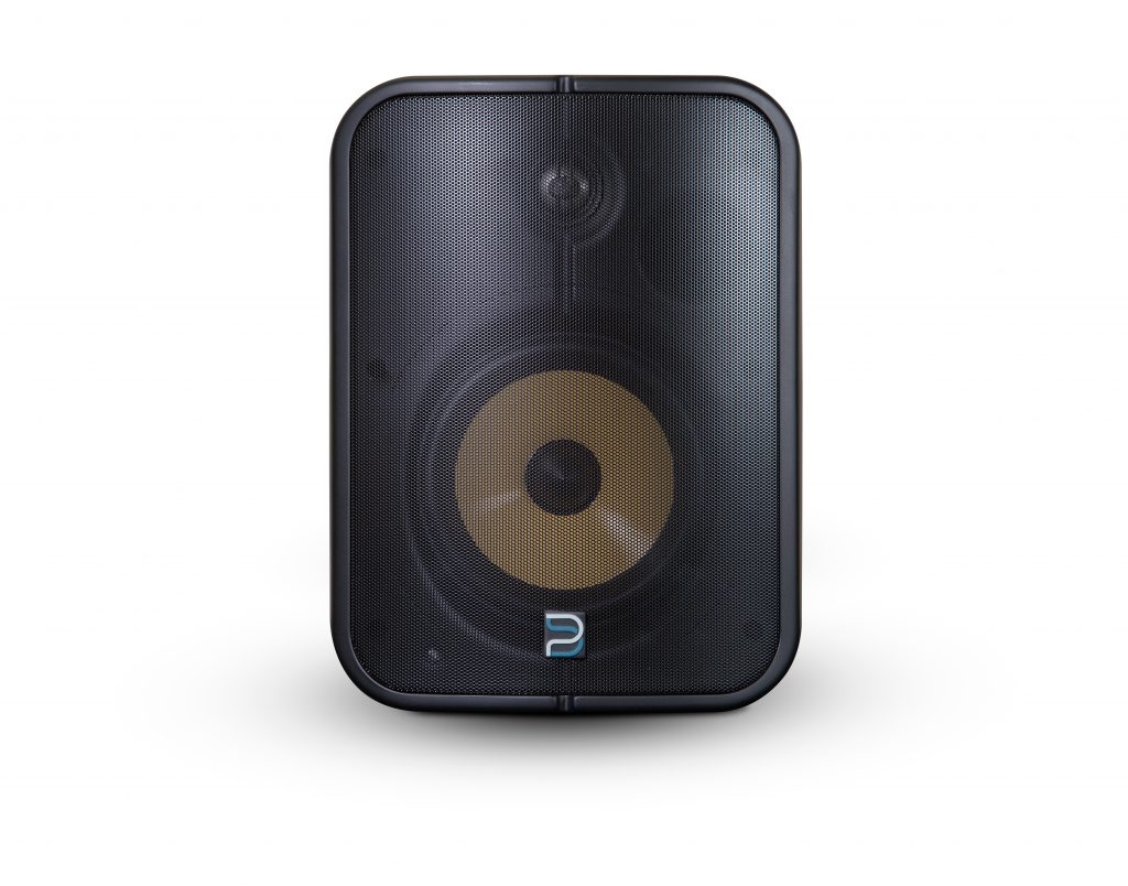 Bluesound Professional BSP1000