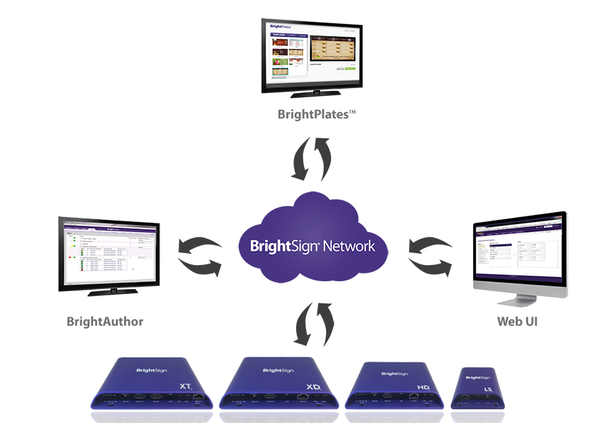 BrightSign Network Lizenz